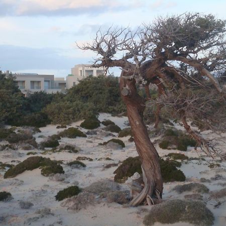 Double Bay Beach Hotel Elafonissos Eksteriør billede